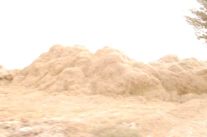 पराली