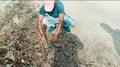 Video of two roads being uprooted goes viral