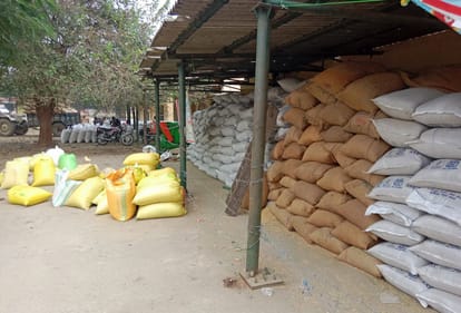 Farmers selling paddy in open market
