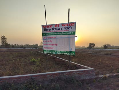 City magistrate starts investigation into stamp theft