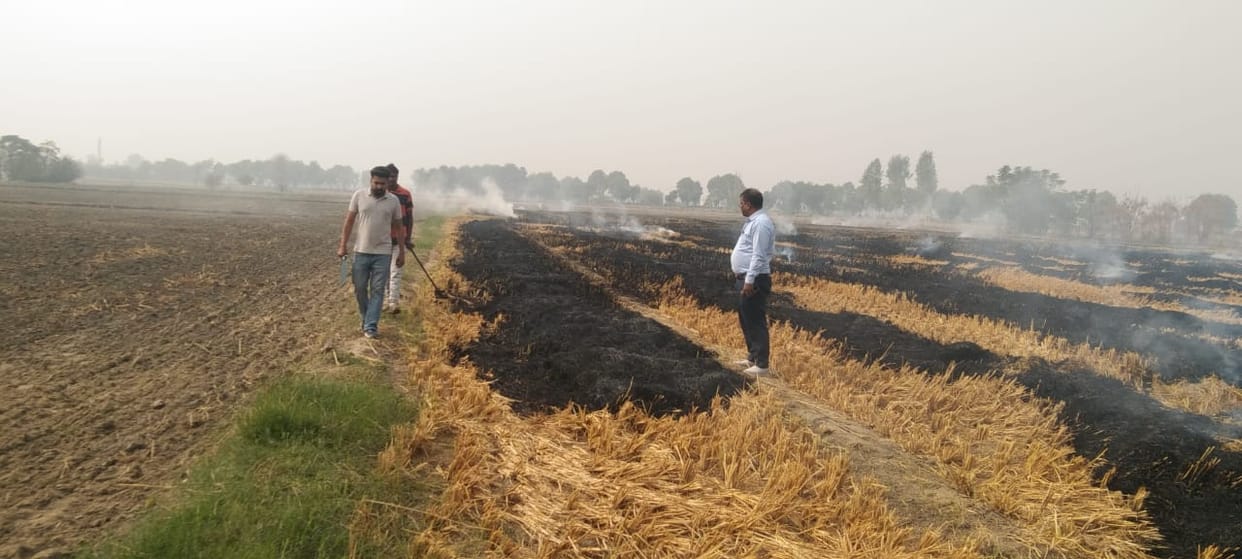 Stubble burnt at six places in Fatehabad, case registered against two farmers