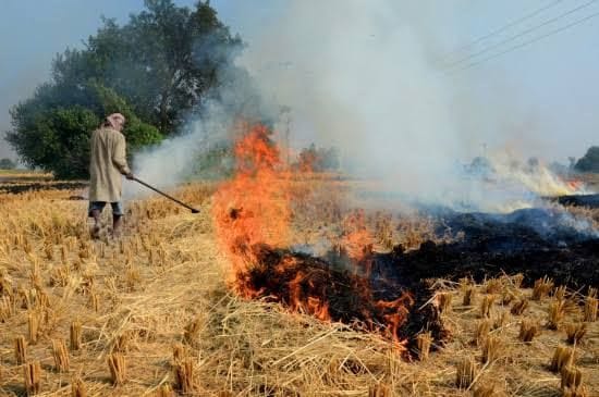 action on 35 workers in parali burning