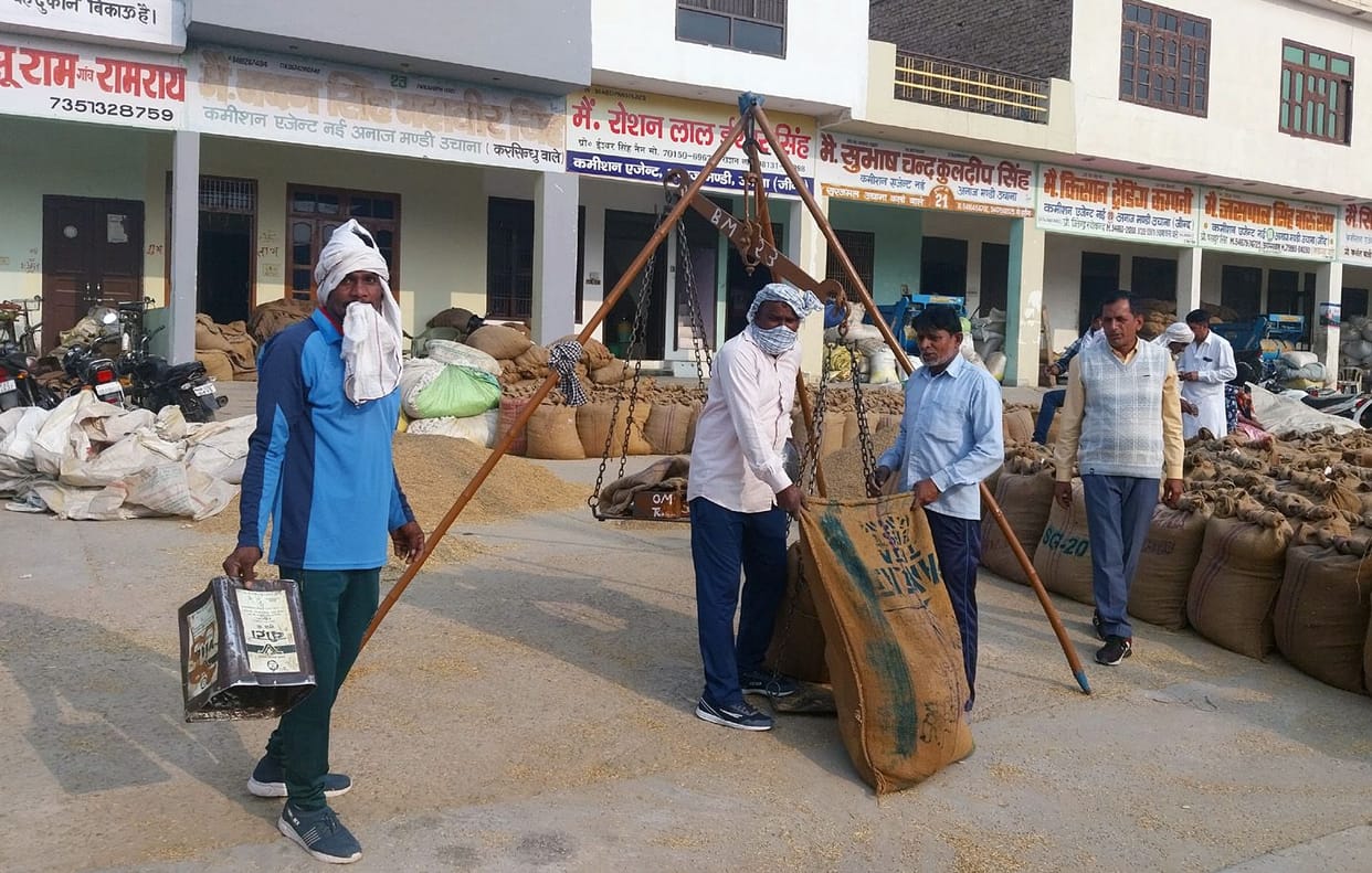 Basmati price rises, farmers' faces smile
