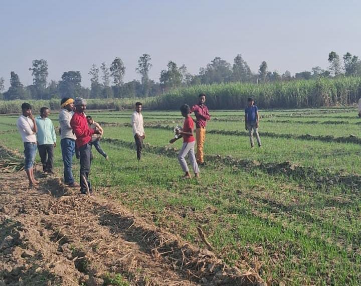 Tiger pounces on workers peeling sugarcane, stampede ensues