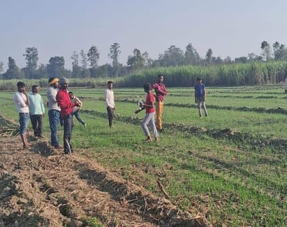 Pilibhit News: गन्ने की छिलाई कर रहे मजदूरों पर झपटा बाघ, भगदड़ मची Tiger pounces on workers peeling sugarcane, stampede ensues