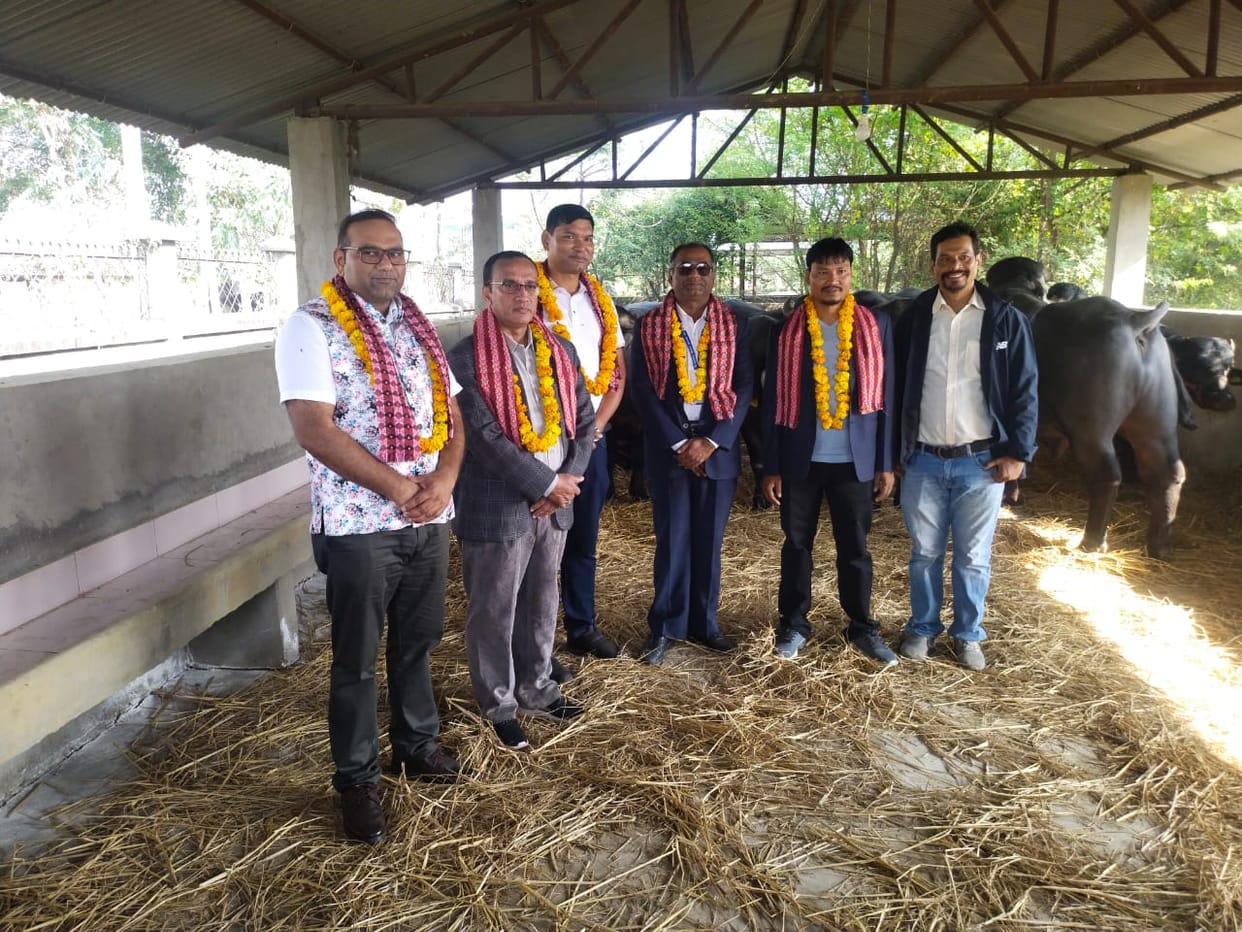 Hisar's Jhotas reached Nepal welcomed with flower garlands