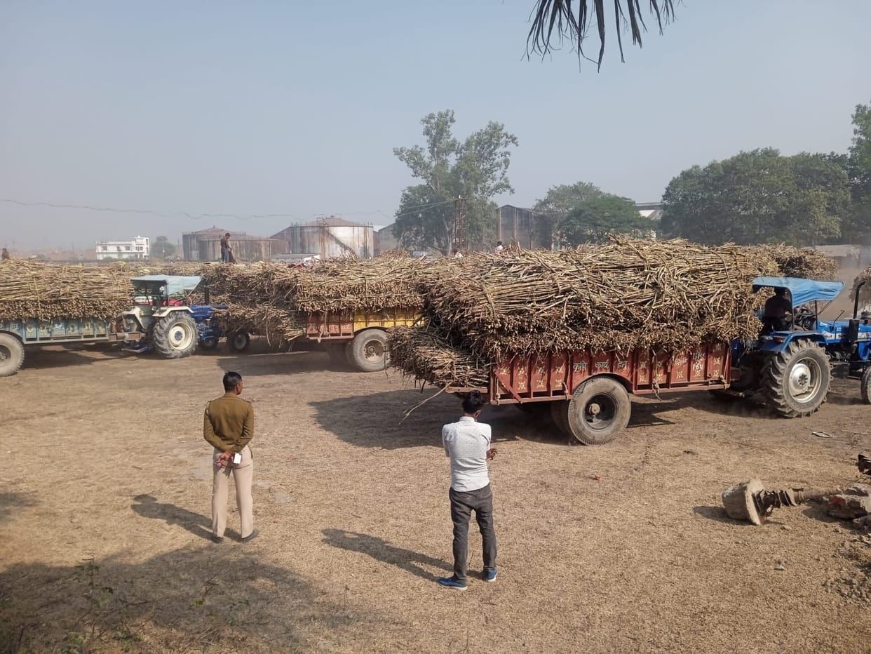 Sugarcane crushing started in The Kisan Cooperative Sugar Mill