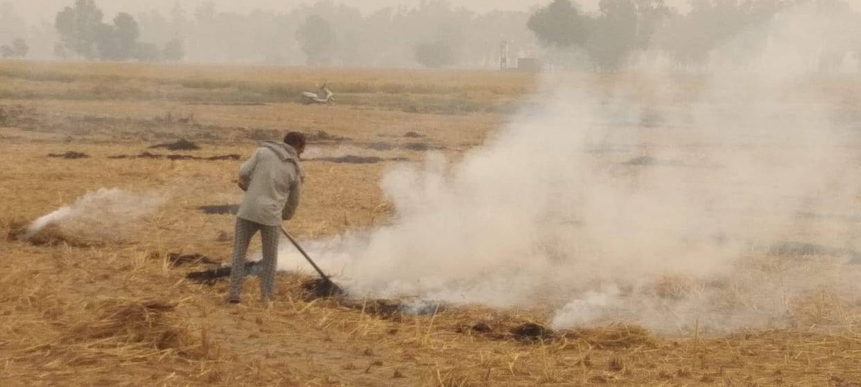 AQI came below 300 after several days, stubble burnt at two places