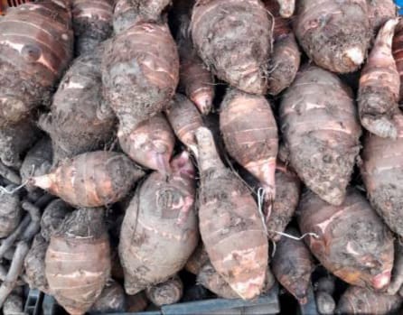 More production of gaderi in garur