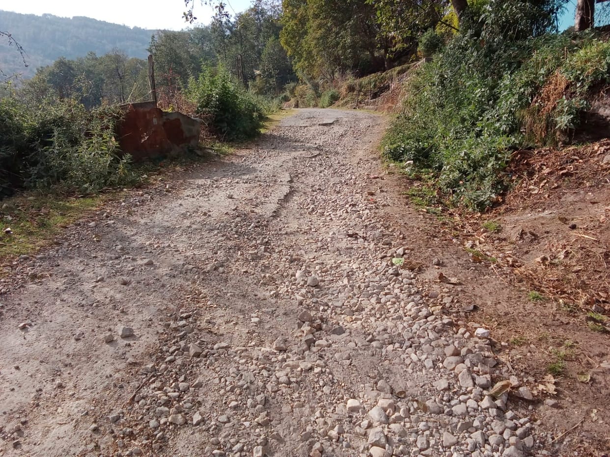 DM gave instructions to make the roads pothole free