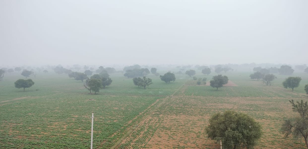 There was intermittent drizzle throughout the day in the area, cold increased