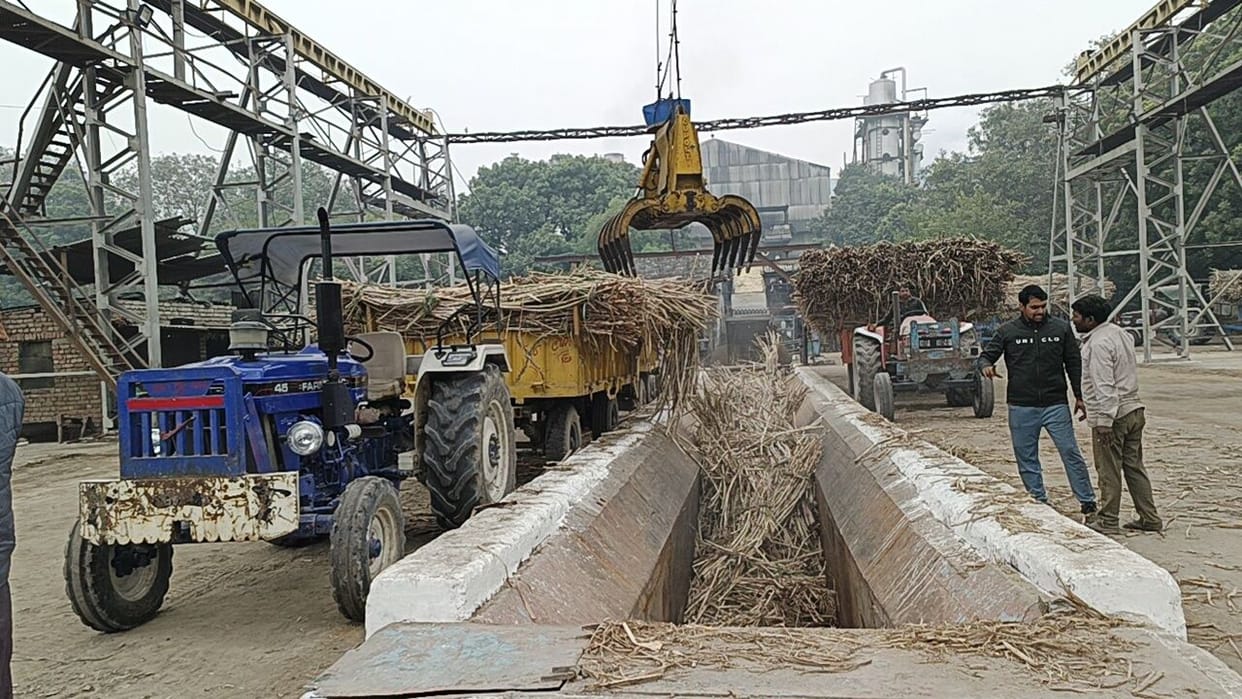 Crushing started in the sugar mill in the morning, machine broke down in the afternoon