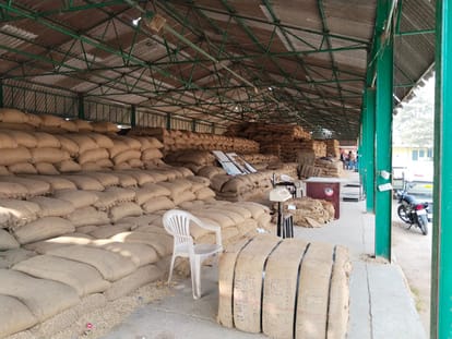 Neither farmers nor paddy in the market, purchases increasing only on paper