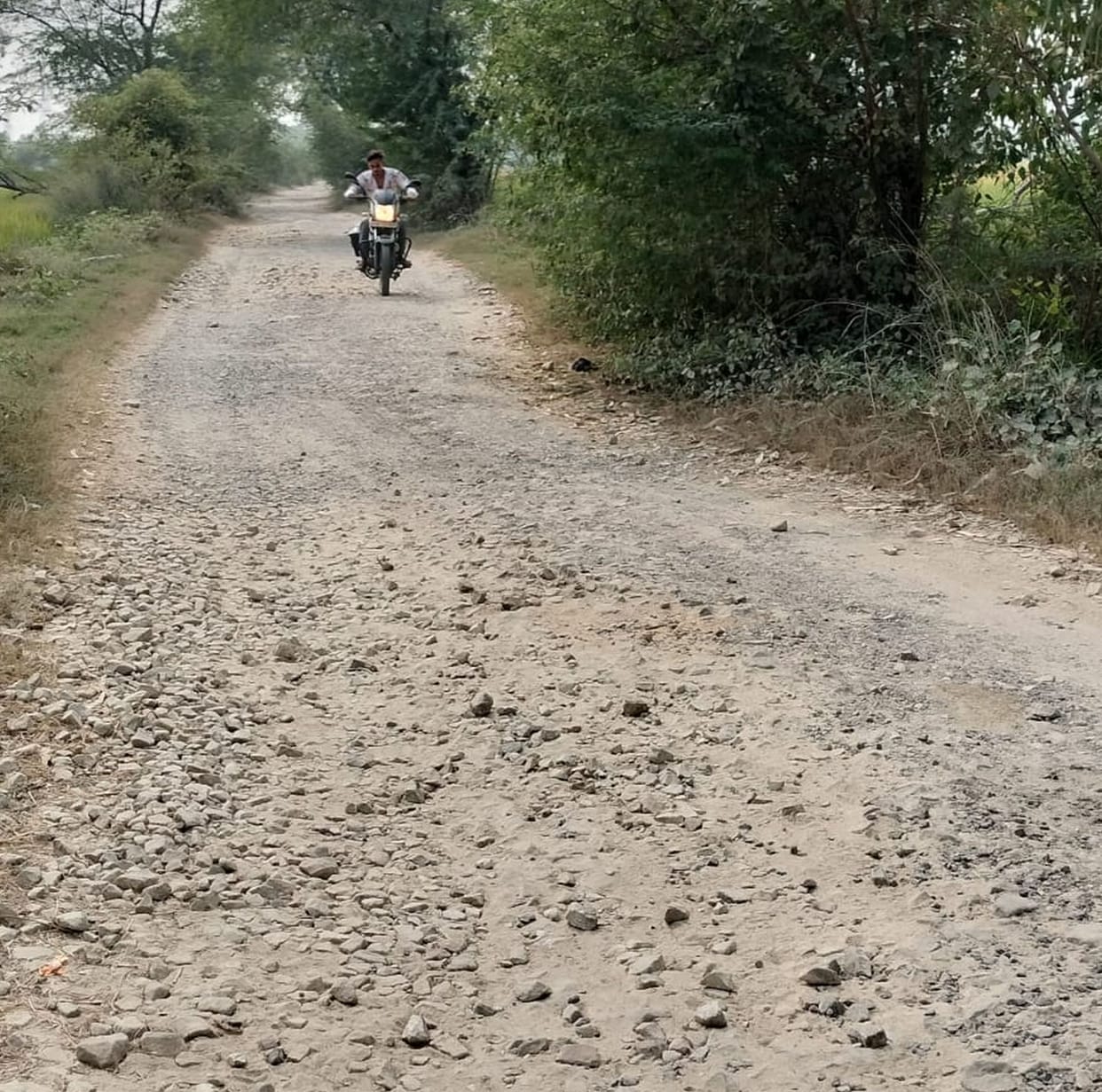 Madhopur-Hardoiya road will be repaired, 20 thousand people will get convenience