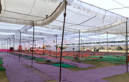 Mass marriage will be held today in Drummond College