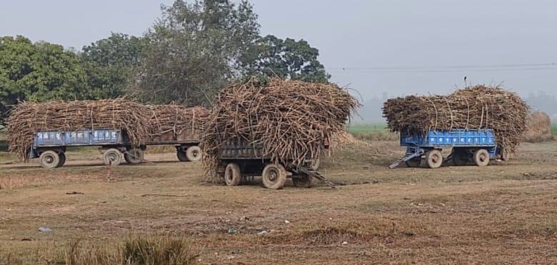Sugarcane farmers owe lakh to China Mill