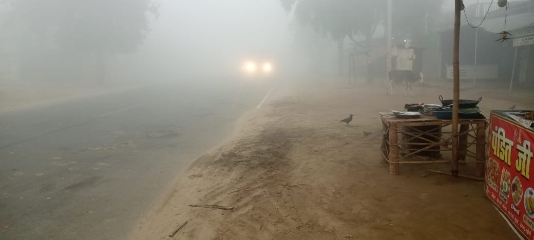 Dense fog remained in the morning, sunshine came out during the day