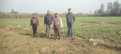 Tigers have camped, only surveillance in the name of action