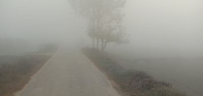 Five deaths in 15 days Open drain in fog became deadly now farmer Dead body found