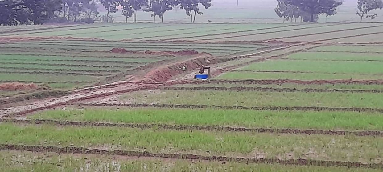 Rain since morning in the plains of the district