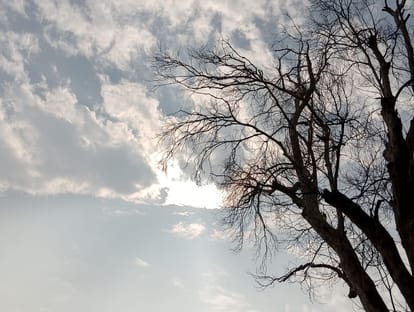 Clouds kept rising throughout the day, cold increased