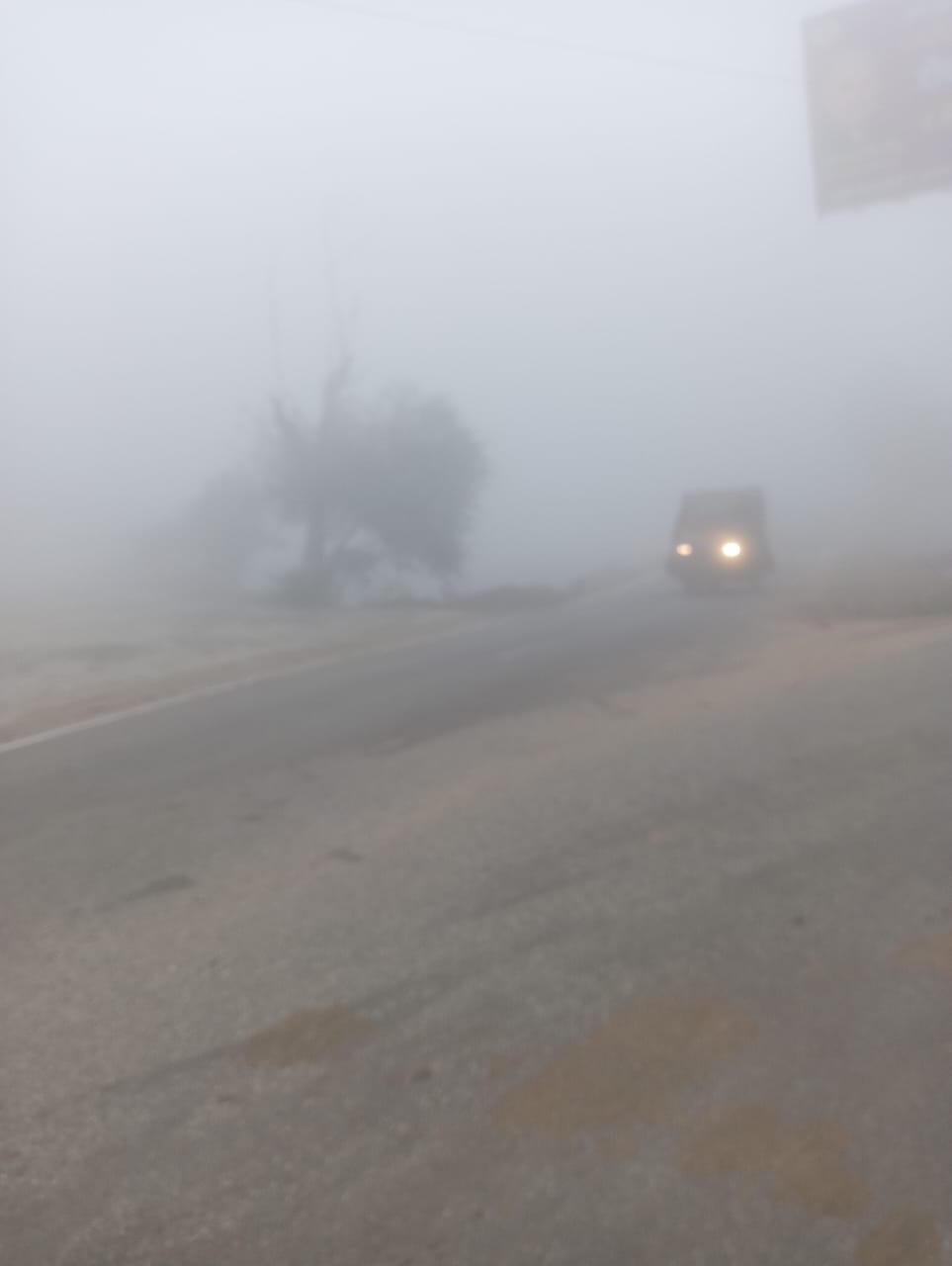 Dense fog on second day, life disrupted