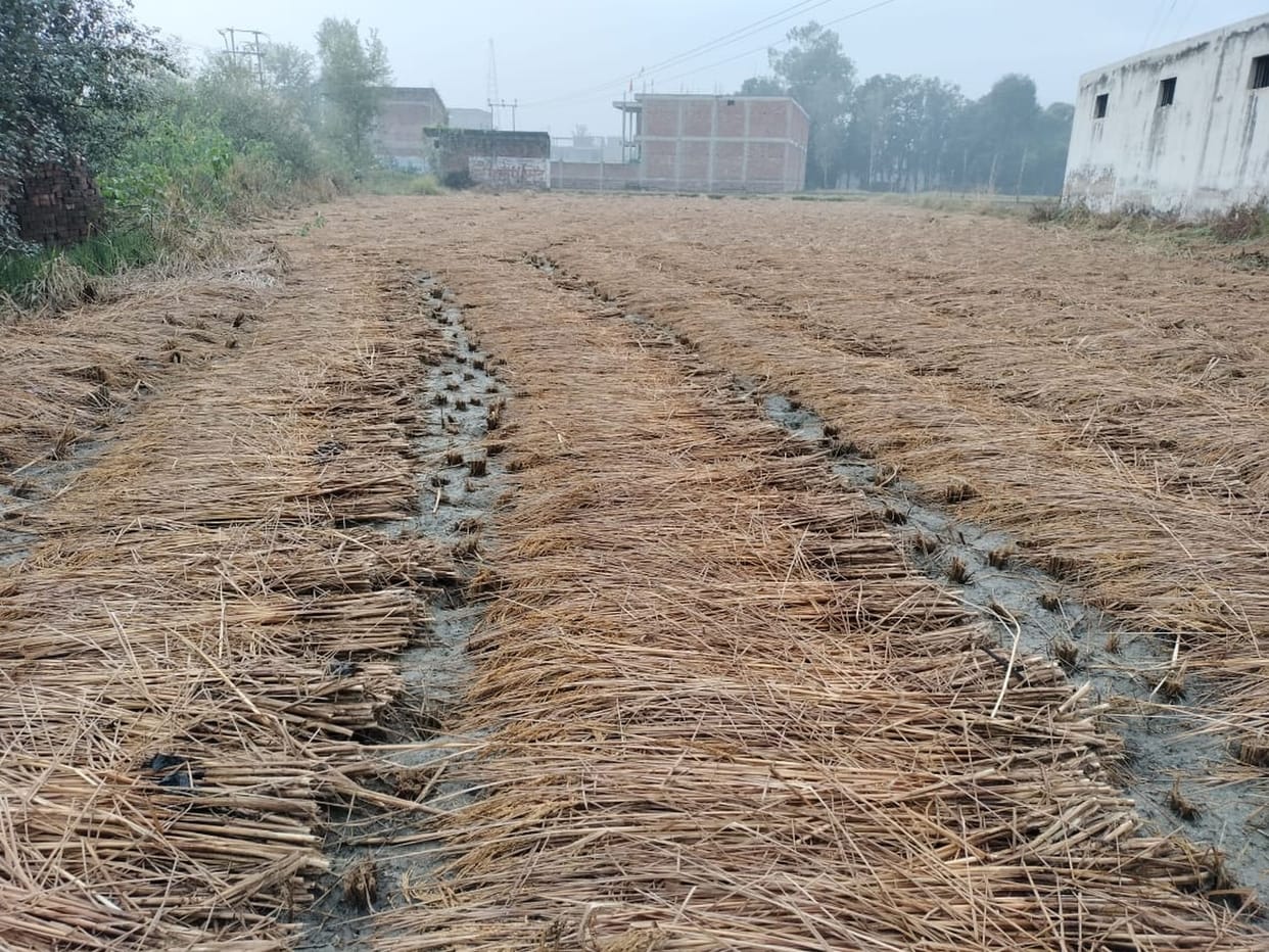 Farmers suffer loss due to rain, common people worried