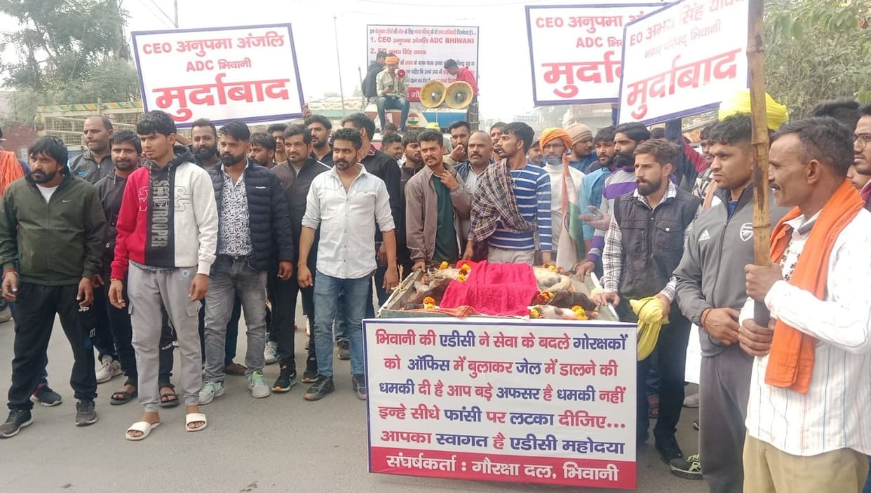 Cow protection team members demonstrated in the city with dead animals