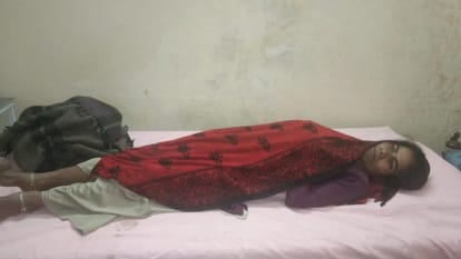 Tiger attacks teenager cutting fodder, injured