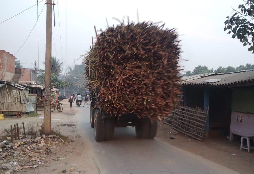 Farmers selling sugarcane to Nepal at throwaway prices