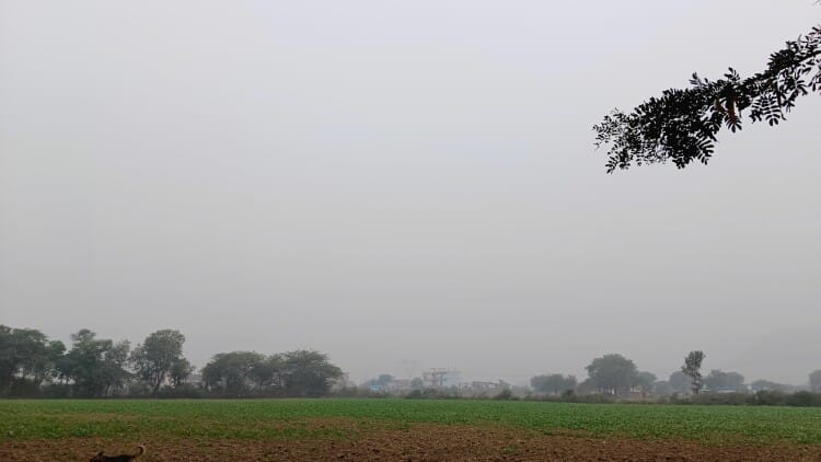Weather Update: Chances Of Rain And Hailstorm In Punjab, Orange Alert For Today – Amar Ujala Hindi News Live