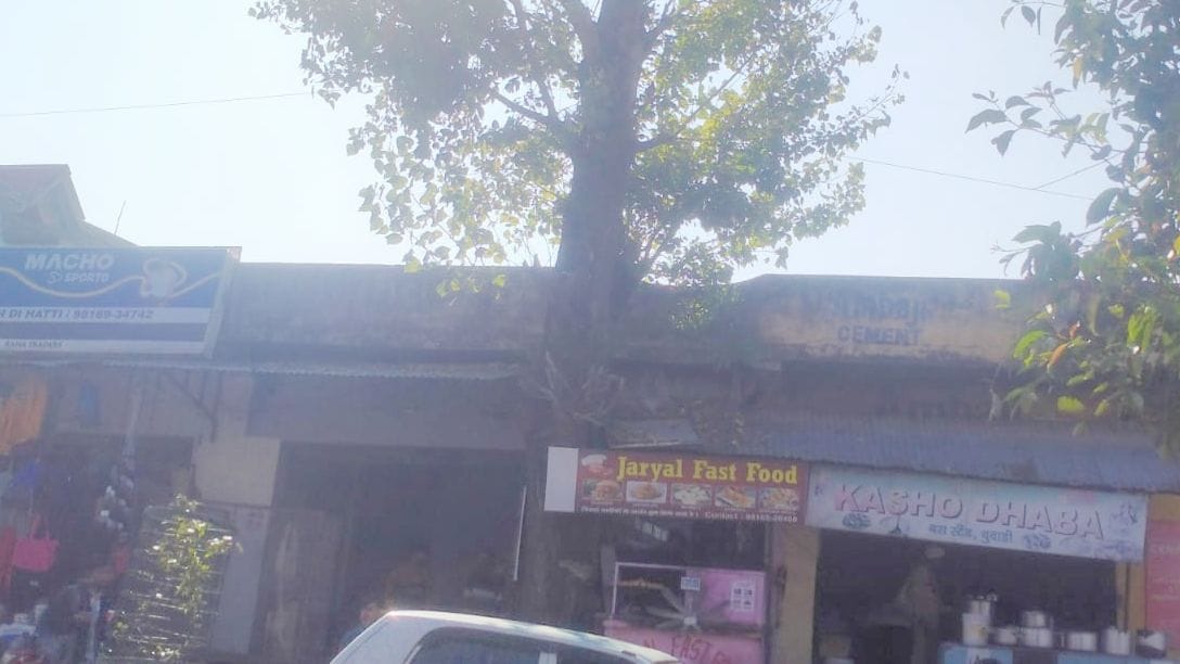 Chuwadi people's path under dry trees, fear of accidents in rain and storm.