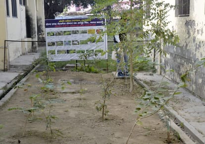 21 medicinal gardens developed to promote Ayurveda