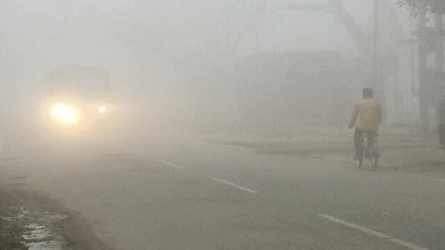Fog slows down the speed of vehicles, increases chill