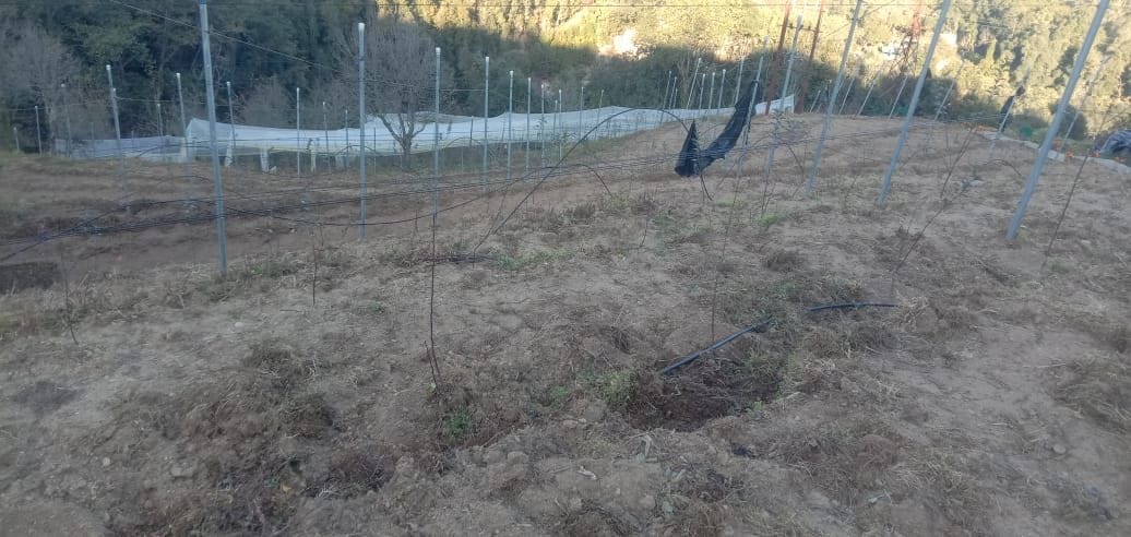 Disappointment: Appointment of 415 gardeners hangs in balance