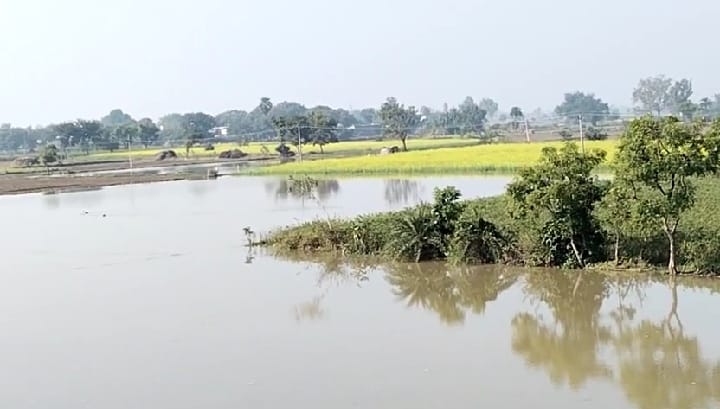 One hundred and fifty bigha crop drowned due to cutting of Rajbhe track