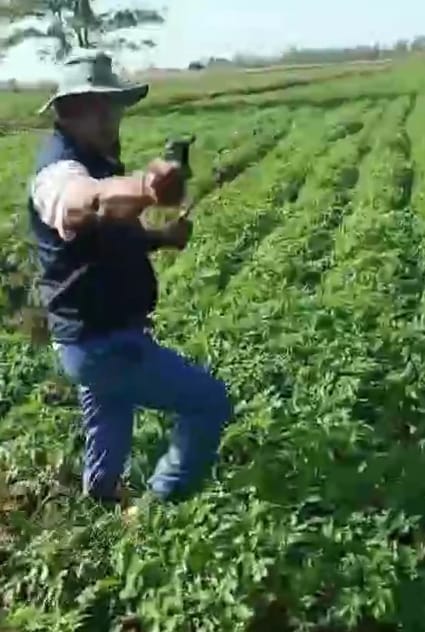 Revolver in hand, hunter cap on head, villain fired five bullets in 10 seconds