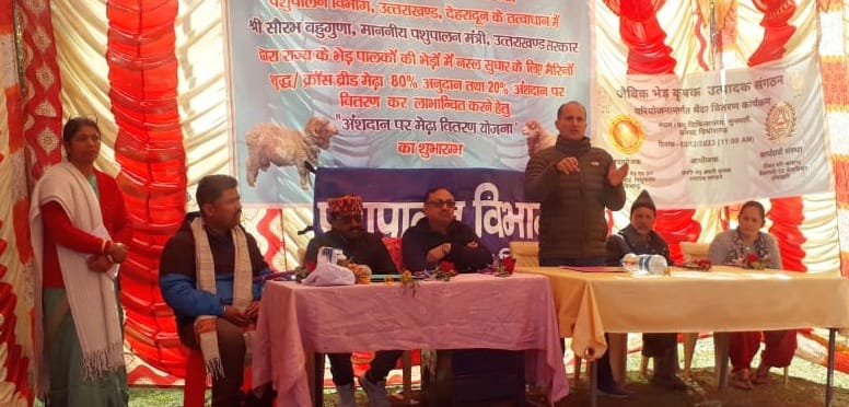 FPO of sheep farmers will produce organic sheep meat