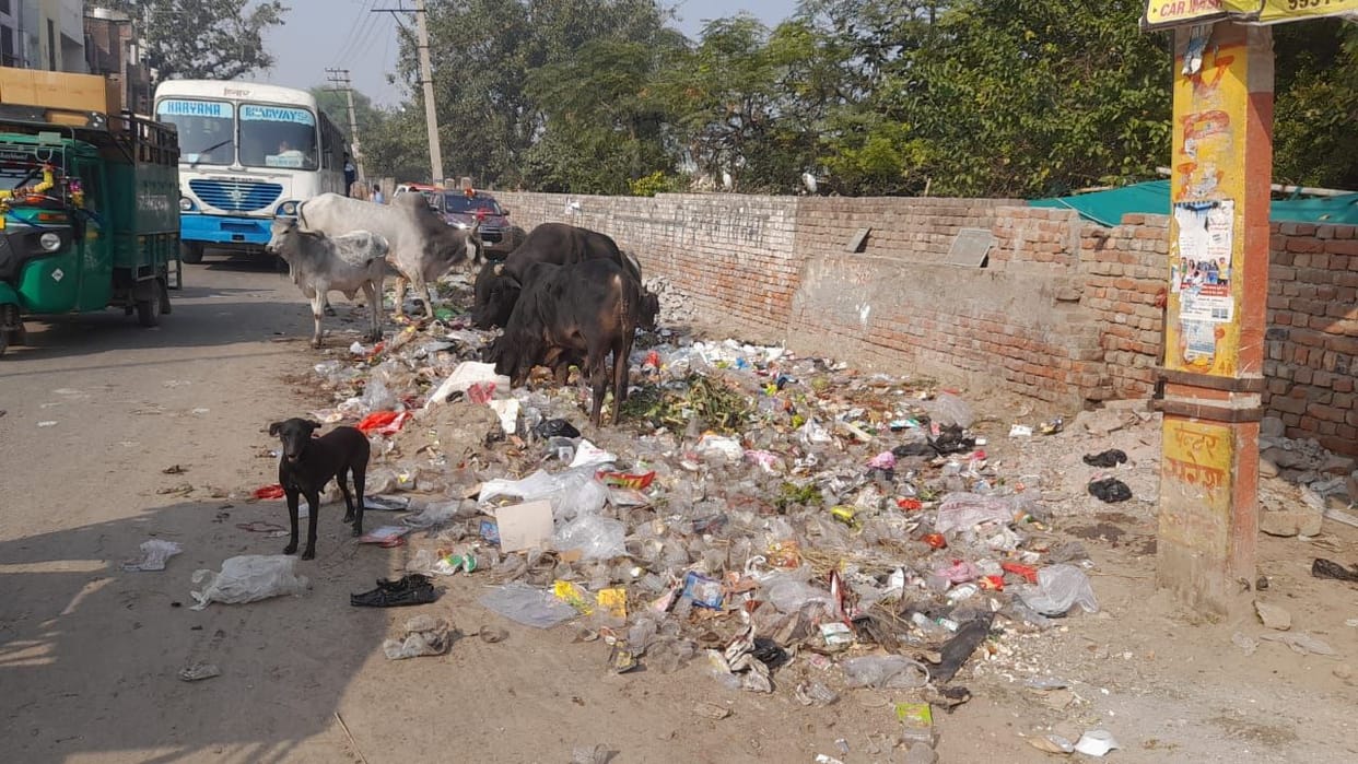Chief Minister's flying squad inspected the cleanliness system