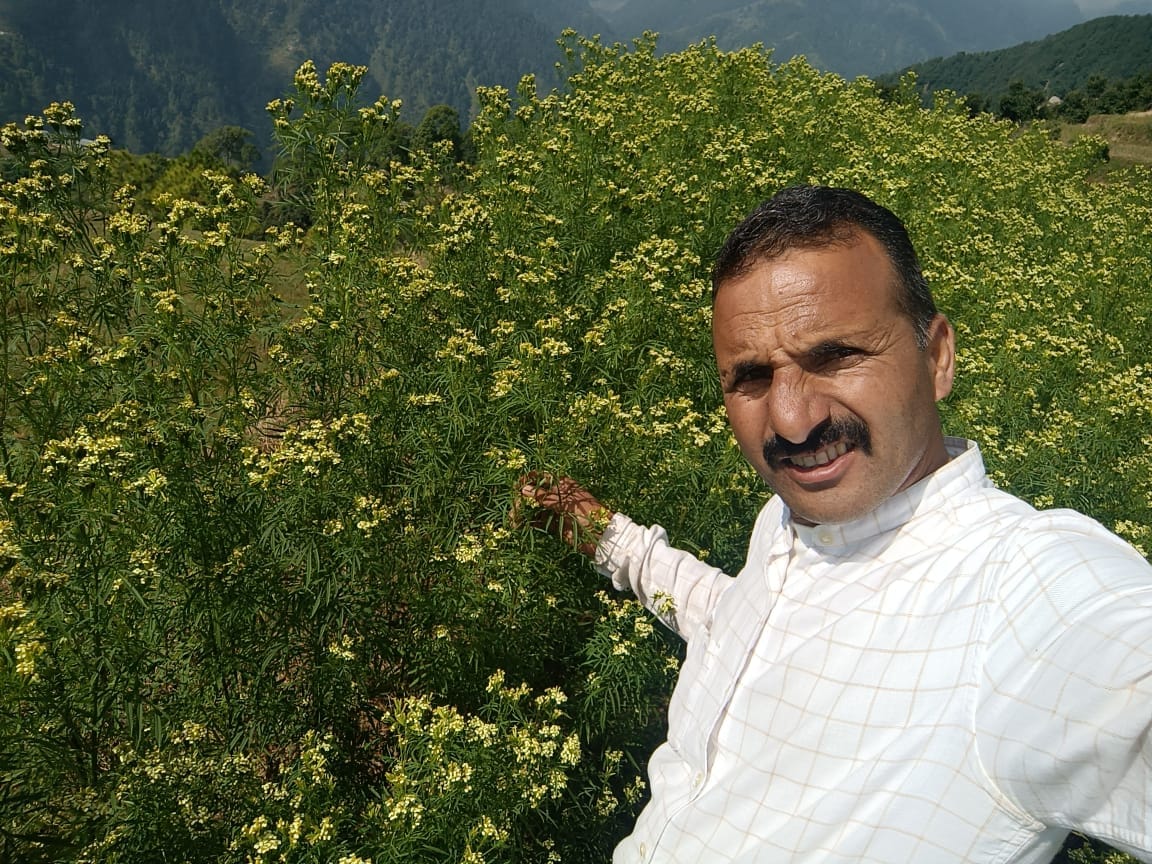 Flowers of hope bloomed on barren land, life of Chamba farmers blossomed