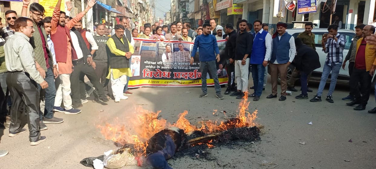 BJP members protested, burnt Rahul's effigy