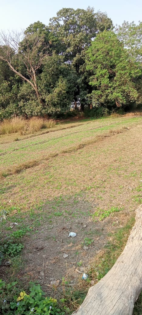 Wait for entertainment...proposal of water park and zoo stuck