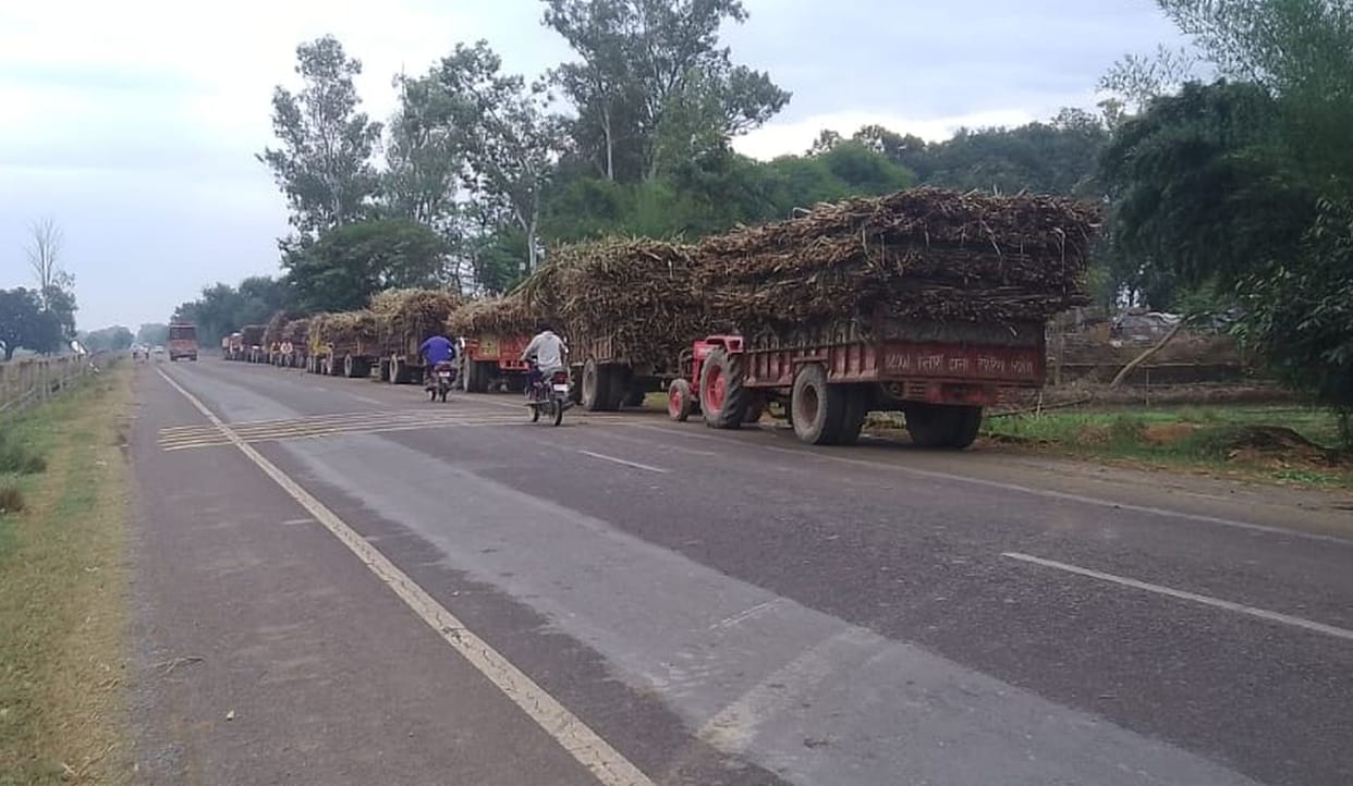 Sugarcane laden vehicles parked on the roadside