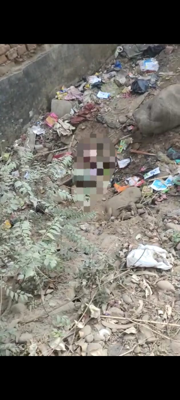 Mamta again embarrassed, body of newborn found in bushes, dogs scratched at many places