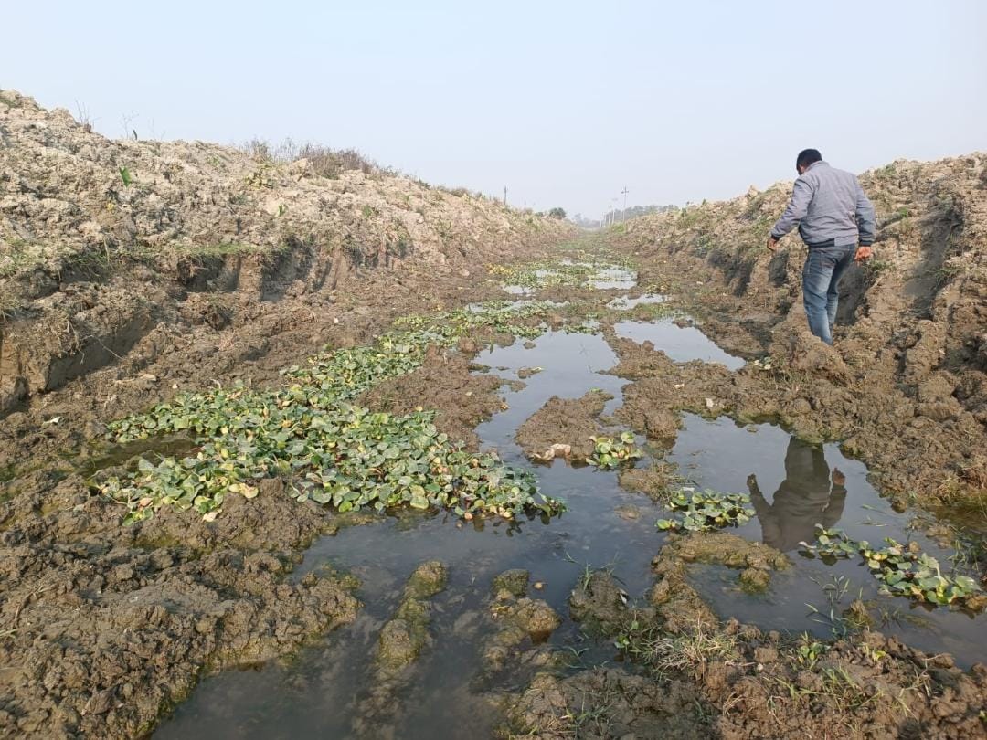 Budget is getting cleaned, silt remains in the canals