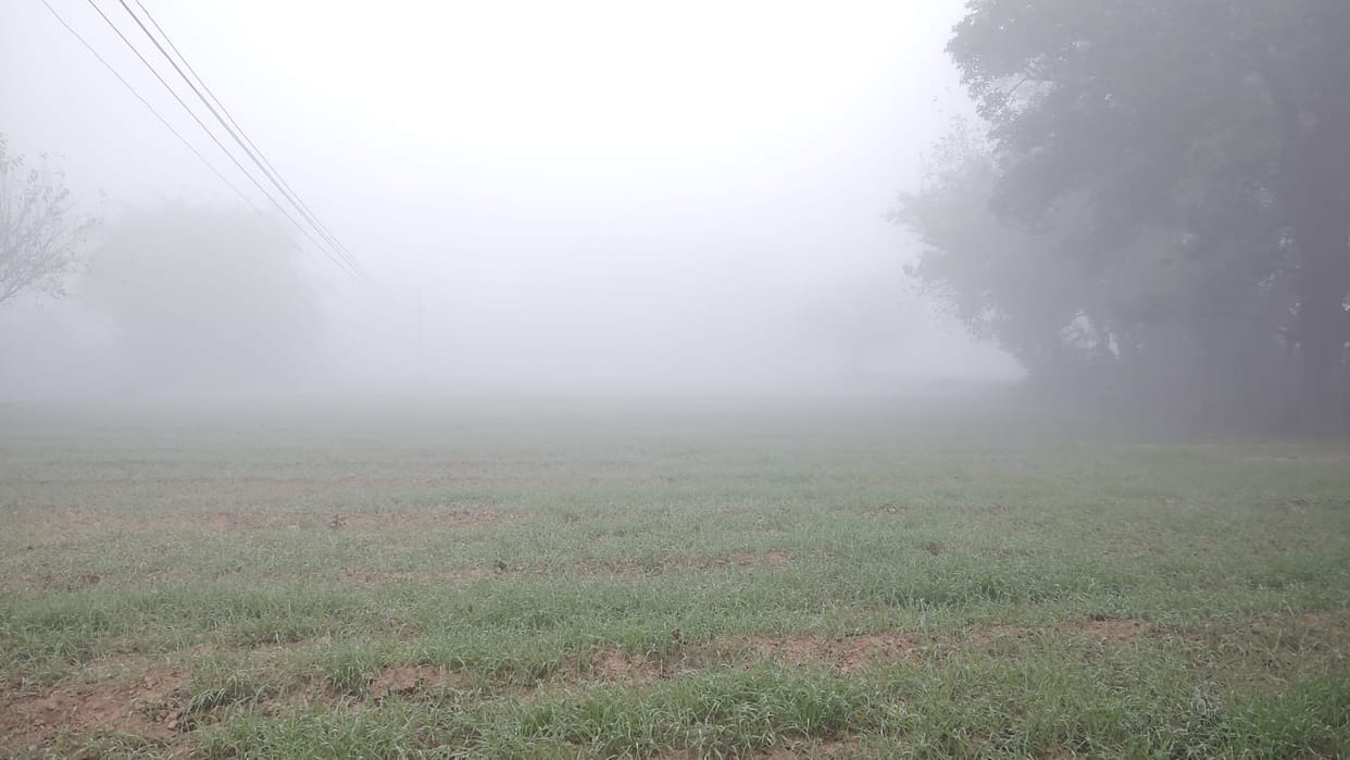 Fog increases problems, 22 degree difference between morning and evening weather