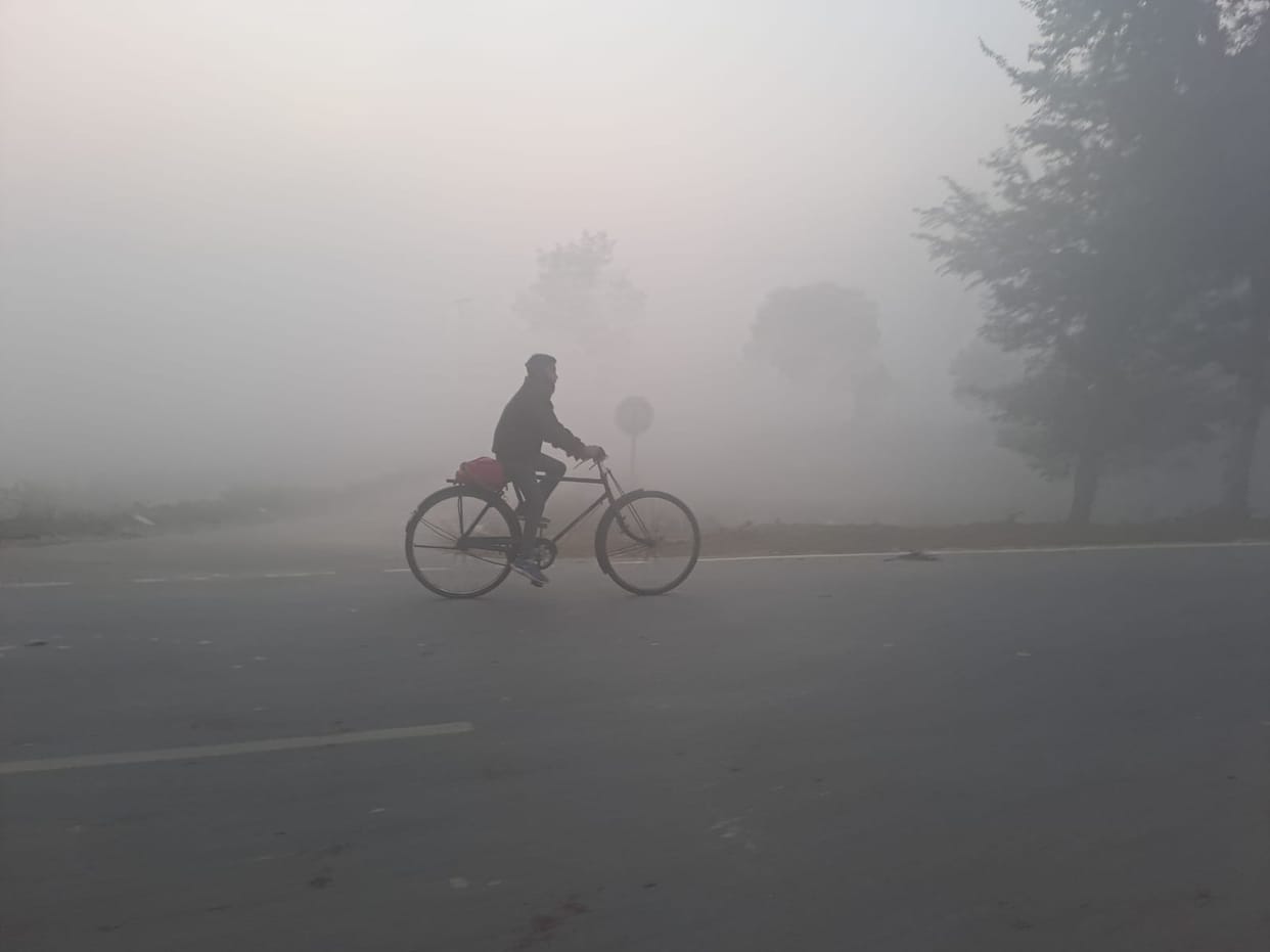 Cover of fog till nine in the morning, no relief from chill