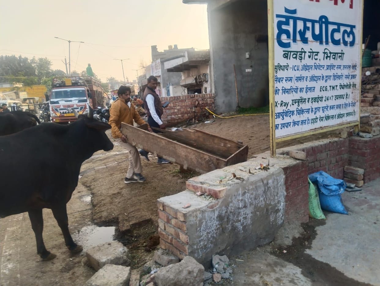 City residents will not be able to feed abandoned animals in the open