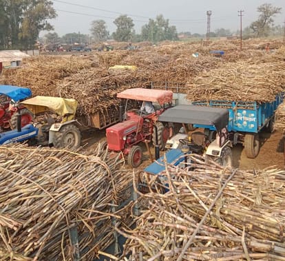 Crushing stopped again in Karnapur Cooperative Sugar Mill