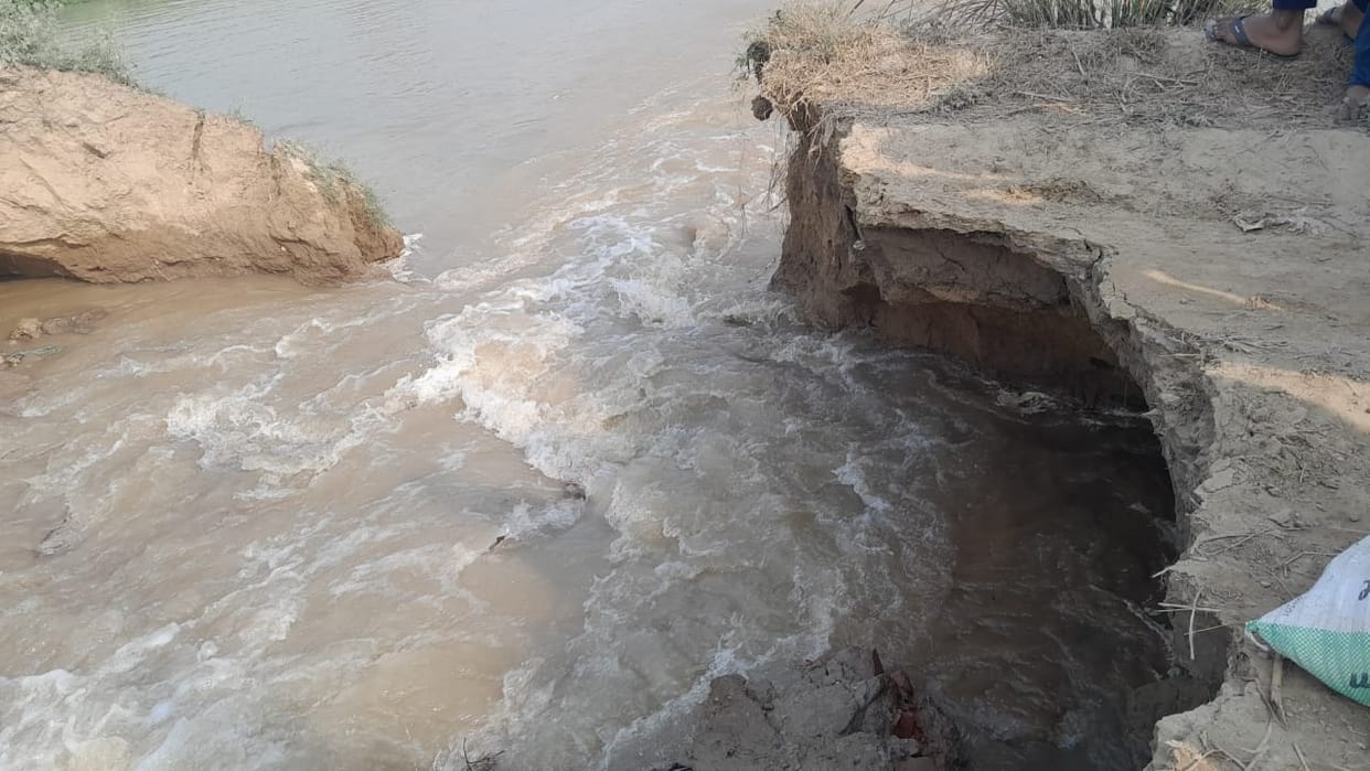 50 bigha wheat crop submerged due to cutting of minor